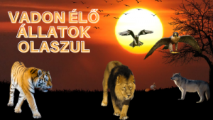 Vadon élő állatok